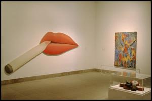 Primary view of object titled 'Dallas Museum of Art Installation: Contemporary Art [Photograph DMA_90015-053]'.