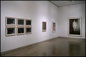 Primary view of object titled 'Gerhard Richter in Dallas Collections [Photograph DMA_1583-28]'.