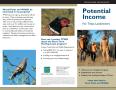 Pamphlet: Potential Income for Texas Landowners