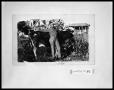 Photograph: Man with Cow