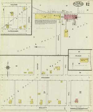 Primary view of object titled 'Pilot Point 1921 Sheet 12'.
