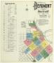 Map: Beaumont 1902 Sheet 1