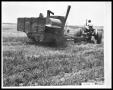 Photograph: Man on Tractor Pulling Combine