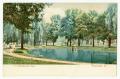Postcard: [Postcard of the Workhouse Park]