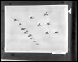 Photograph: Eighteen Planes in Formation