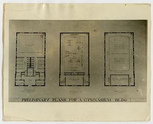 Primary view of object titled '[Photograph of Preliminary Plans for Gymnasium Building]'.