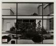 Photograph: [Photograph of Courtyard of Amy Graves Ryan Fine Arts Center]
