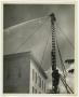 Photograph: [Men Standing on Extension Ladder]