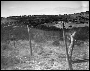 Primary view of object titled 'Ranch Scenes'.