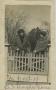Photograph: [Photograph of Women in Front of Fence]