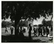 Photograph: [Photograph of Students Walking on Campus]