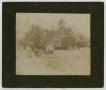 Photograph: [Photograph of Louisa Walker Lawrence with a Buggy]