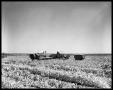 Thumbnail image of item number 1 in: 'Crops at Miles and Winters, Texas'.