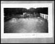Photograph: Swimming Pool