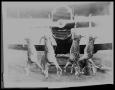 Photograph: Four Deer on an Airplane Propeller