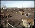 Primary view of Edgar Davis Feed Lot #1