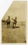 Photograph: [George Pruitt Leading Two Horses]