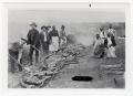 Photograph: [Election Barbeque at Court House and Bridge Over Brazos River]