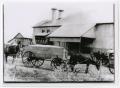 Photograph: [Cotton Gin with Mules and Wagon]