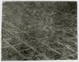 Photograph: [Aerial View of El Paso, Texas]