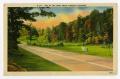 Postcard: [Postcard of Tennessee Road]