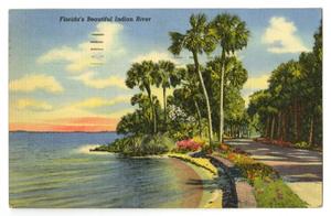 Primary view of object titled '[Postcard of Indian River in Florida]'.