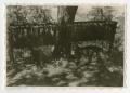 Photograph: [Photograph of Deer and Trough]
