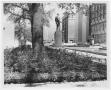 Photograph: [Statue at Dealey Plaza]