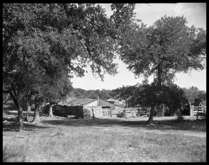 Primary view of object titled '[View of Rural Yard]'.
