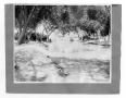 Thumbnail image of item number 1 in: '[Acequia Madre In Juarez]'.
