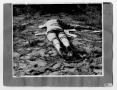 Thumbnail image of item number 1 in: '[Dead Body]'.