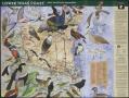 Map: Great Texas Coastal Birding Trail: Lower Texas Coast