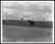 Thumbnail image of item number 1 in: '[Lyndon Johnson Standing near a Bull]'.