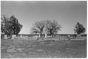 Primary view of object titled '[Cemetery with Trees]'.