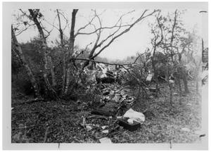 Primary view of object titled '[Wreckage of an Airplane]'.