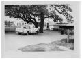 Photograph: [Trucks Parked under a Tree]