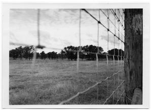 Primary view of object titled '[Field as Seen Through a Fence]'.