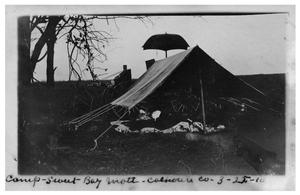 Primary view of object titled 'Camp [at] Sweet Bay Mott, Calhoun County'.