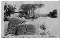 Photograph: [Bales of cotton on the banks of the] Guadalupe River [in] Tivoli