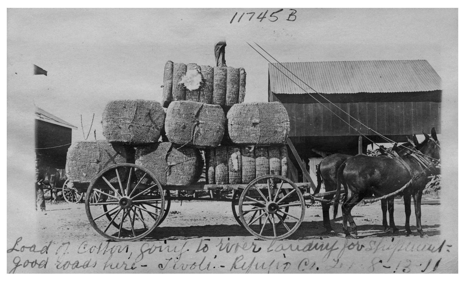 Load of cotton going to river landing for shipment--good roads here
                                                
                                                    [Sequence #]: 1 of 1
                                                