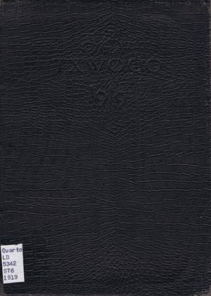 Primary view of object titled 'TXWOCO, Yearbook of Texas Woman's College, 1919'.