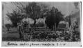 Thumbnail image of item number 1 in: 'Carrie Hofer's grave, Victoria'.