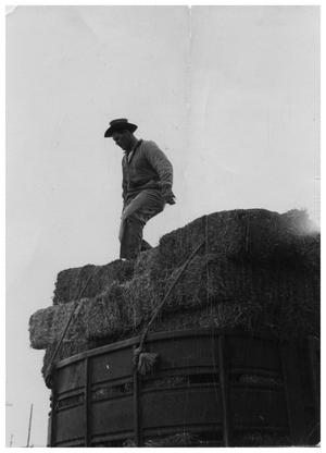 Primary view of object titled '[Man Atop Hay Bales on a Wagon]'.