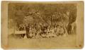 Photograph: [The Extended Matthews-Reynolds Families Under Trees]