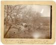 Thumbnail image of item number 1 in: 'Hog Camp on Clear Fork River, in Stone Ranch Pasture at the mouth of Cottonwood Canyon'.