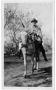 Photograph: [Man on Horseback Holding a Long Gun]