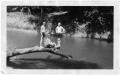 Photograph: [Three Young Men on a Tree Trunk over Clear Fork River]