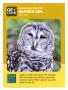 Text: [Trading Card: Barred Owls]