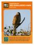 Text: [Trading Card: Red-Shouldered Hawk]