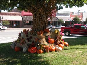 Primary view of object titled 'Henderson County Courthouse, a lovely seasonal fall display'.